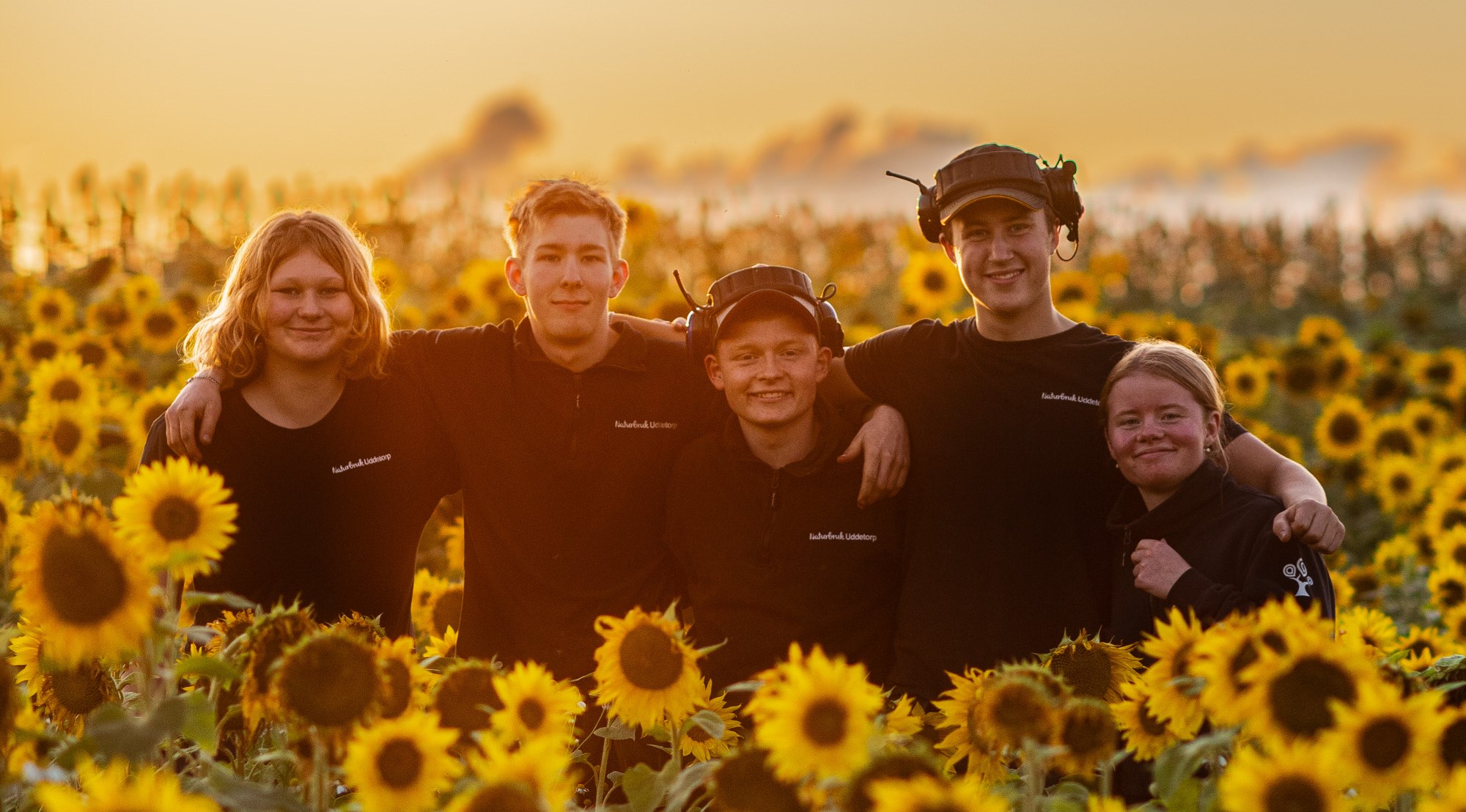 Fem elever står tillsammans i ett solrosfält i solnedgången
