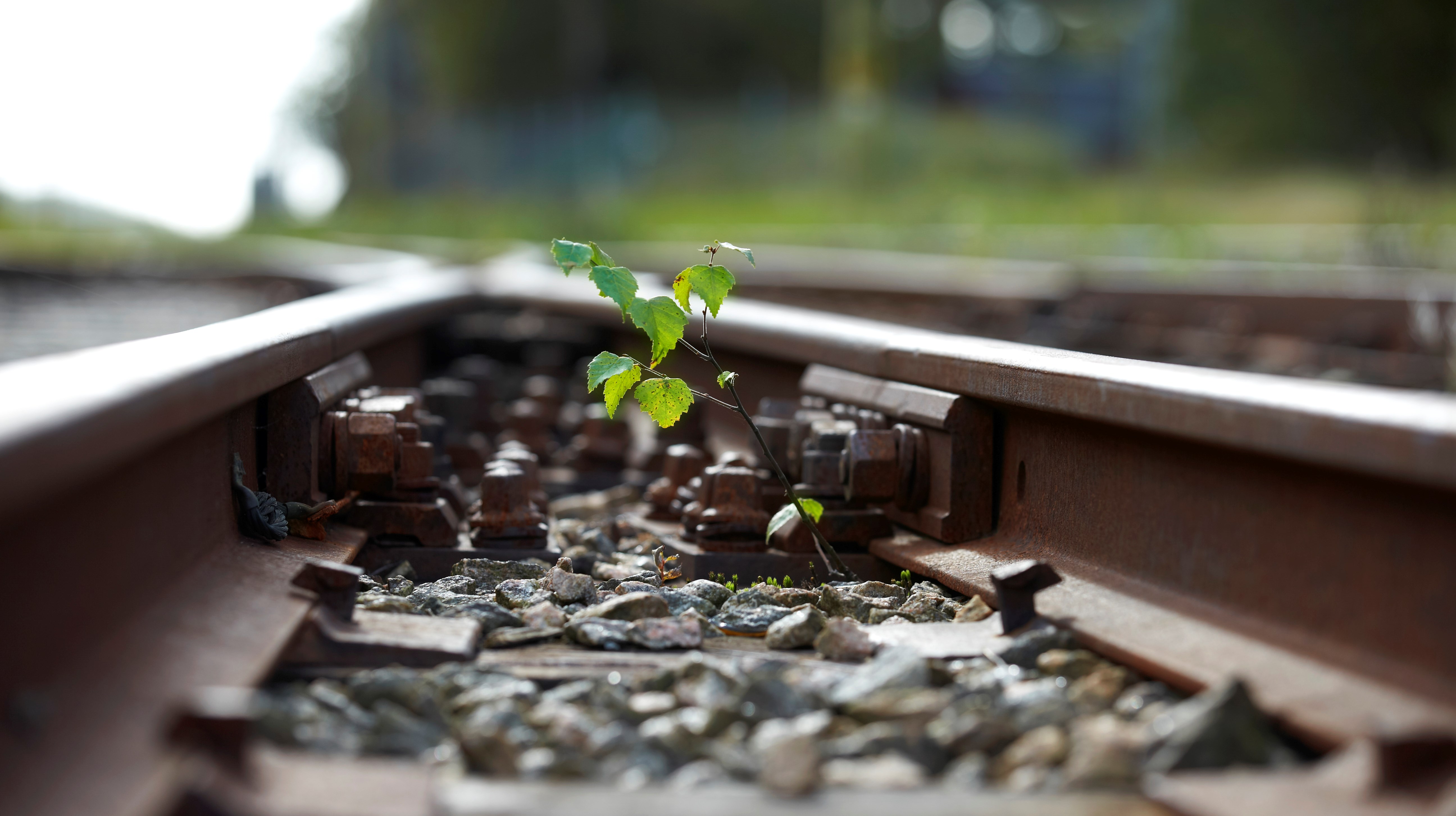 Bilderna fria för publicering inom VG Region.