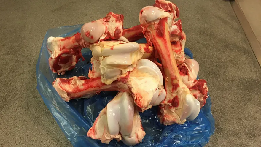 På en blå platspåse ligger några stora, blodiga djurben.