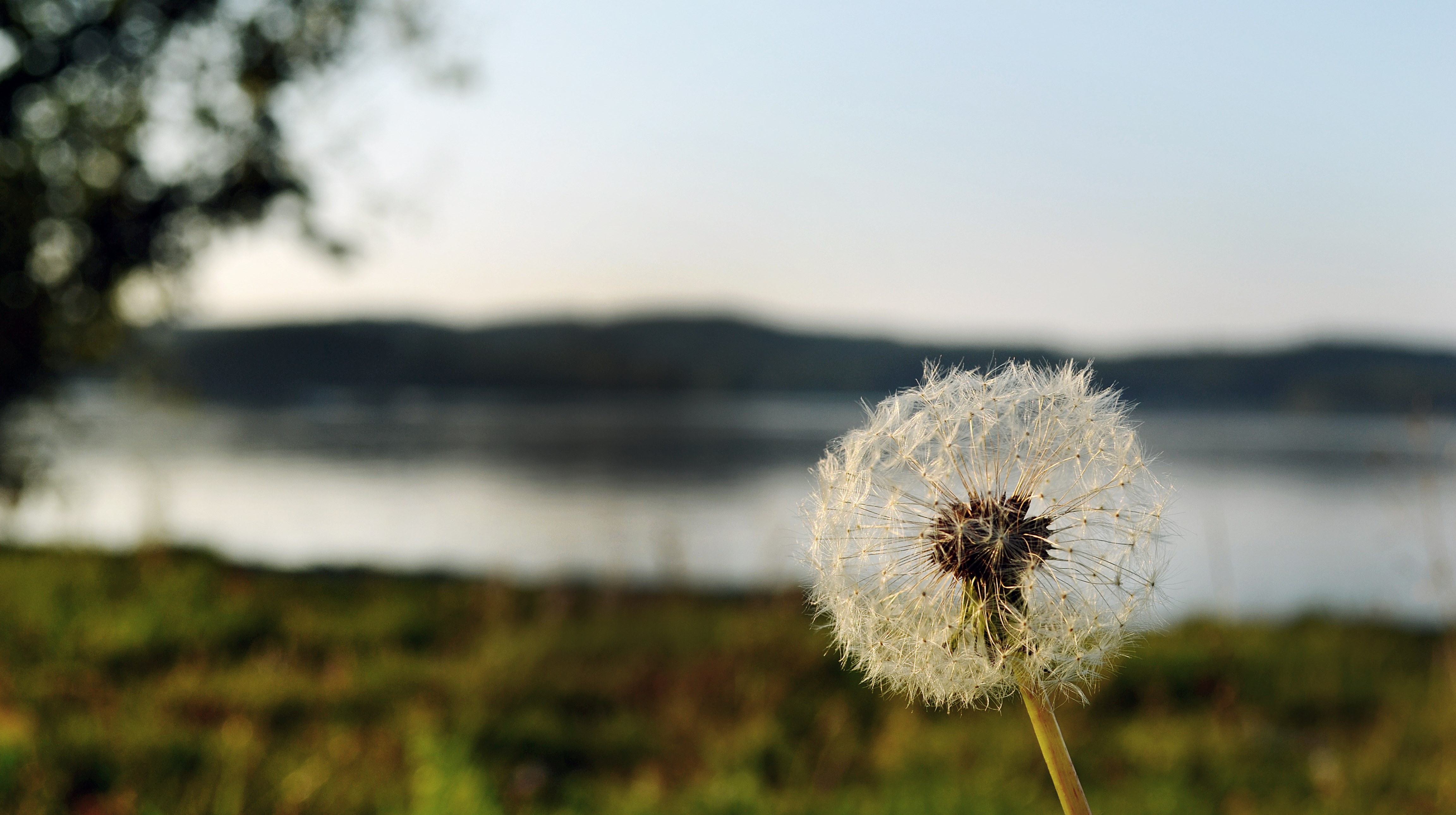 Ingen beskrivning tillgänglig