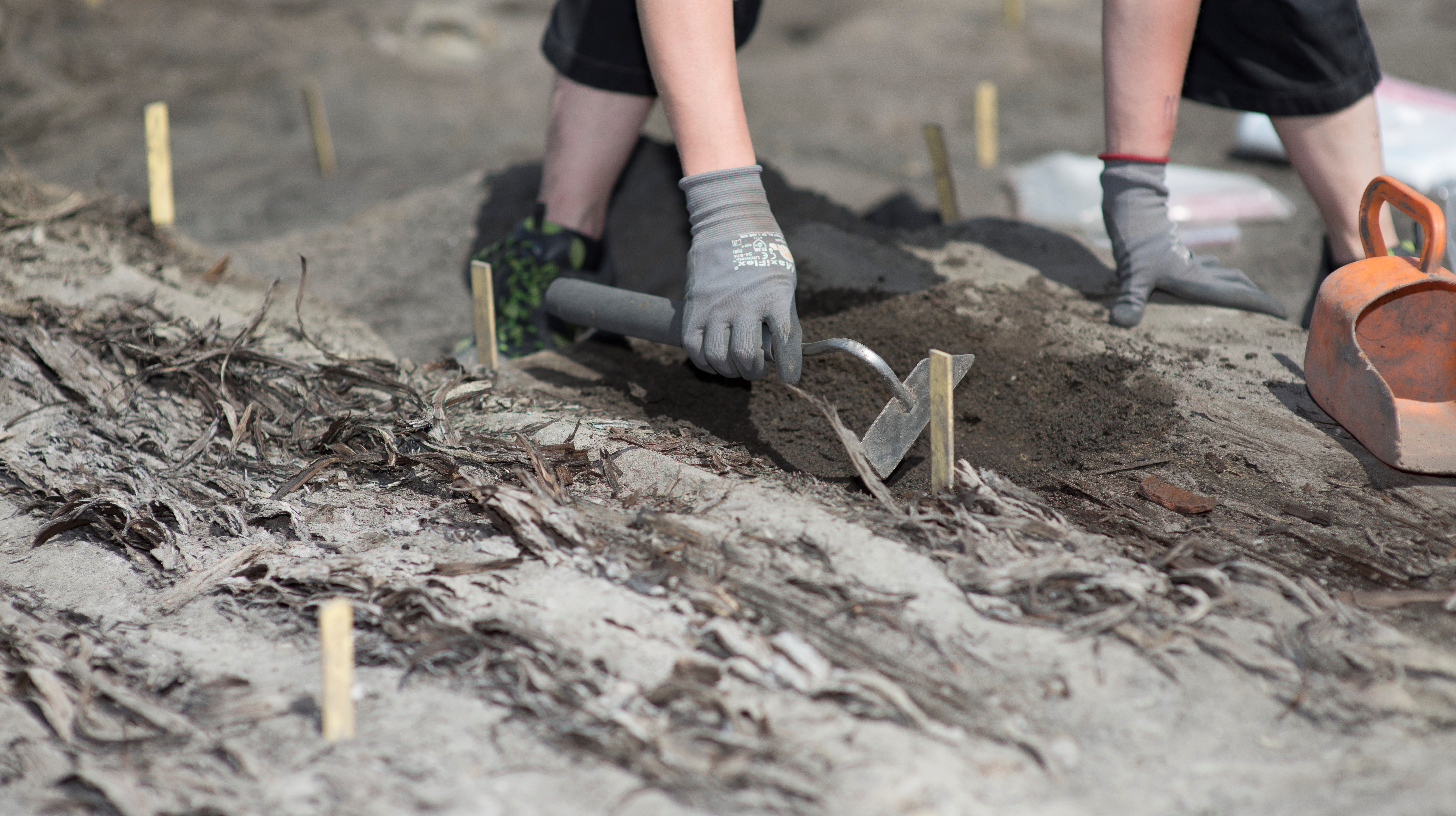 Ingen beskrivning tillgänglig