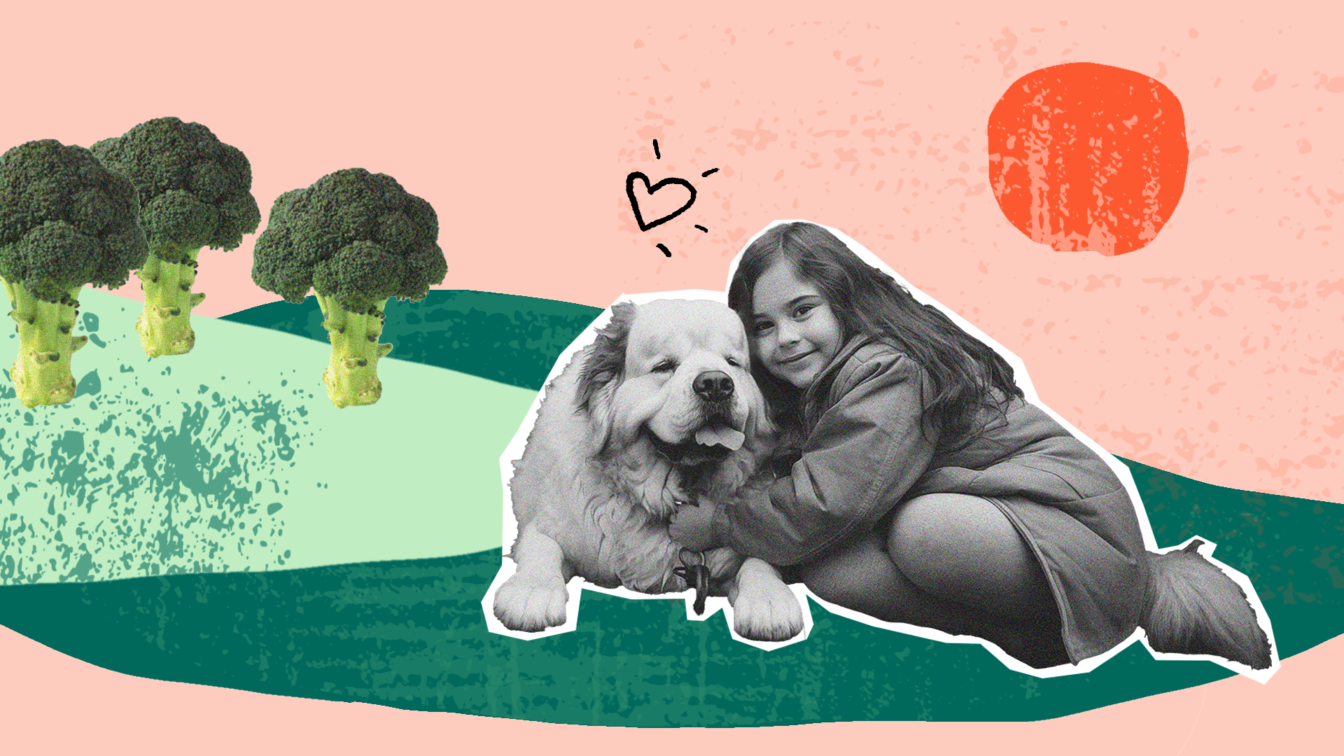 En flicka ligger på en äng med en söt hund.