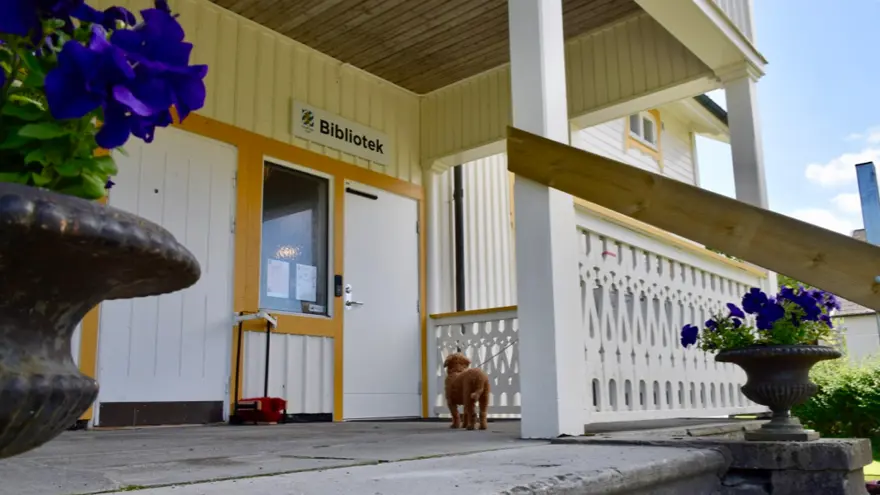 En liten hund står och väntar på matte eler husse på bibliotekets veranda. Den tittar förväntansfullt mot den stängda dörren som har skylten "Bibliotek" ovan sig.