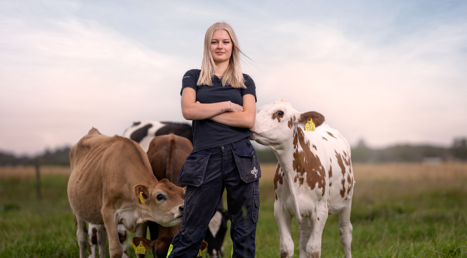 Elev står med armarna i kors framför några kor i en hage