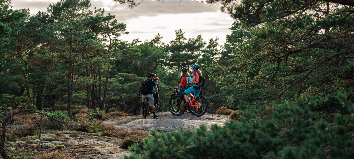 Bikemaestro – Göteborg